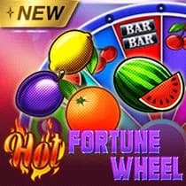 Hot Fortune Wheel