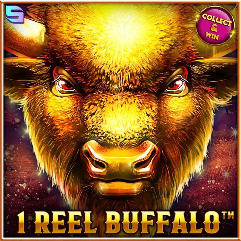 1 Reel Buffalo